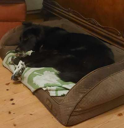 Schlafzeit!💖-Beitrag-Bild