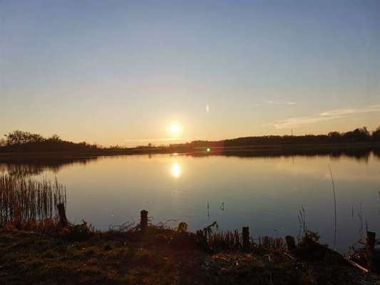 Die wunderschöne Welt mit Hund.-Beitrag-Bild