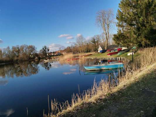 Die wunderschöne Welt mit Hund.-Beitrag-Bild