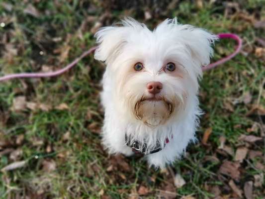 Lieblings Fotos-Beitrag-Bild