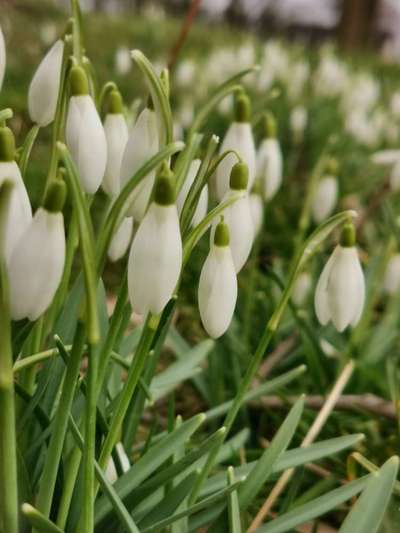 Die wunderschöne Welt mit Hund.-Beitrag-Bild