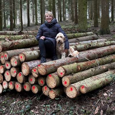 Hundetreffen-Hunde Gassitreffen am Vormittag Umgebung Rheinbach-Bild
