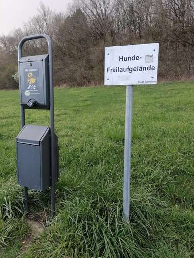 Hundeauslaufgebiet-Hunde-Freilaufgelände-Bild