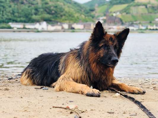 Fotochallenge Nr. 56 - geliebte Senioren-Beitrag-Bild