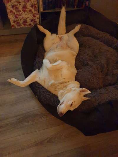 Die unbequemsten und lustigsten Schlafpositionen-Beitrag-Bild