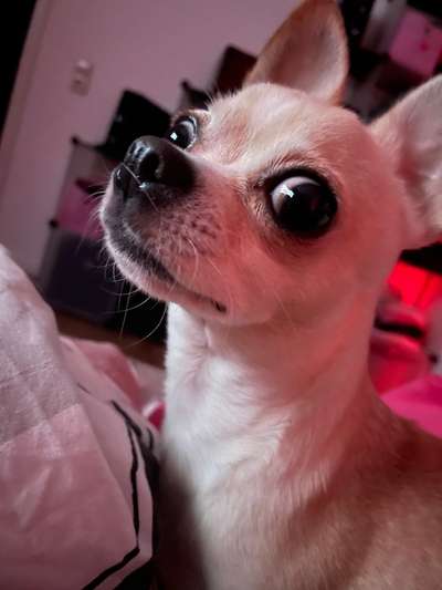 "Die eingefangene Magie des Augenblicks"-Beitrag-Bild