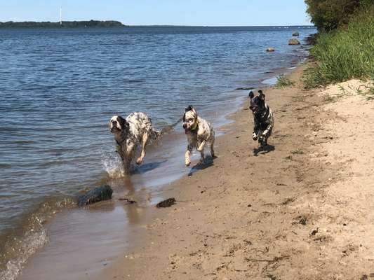 Urlaub Rügen-Beitrag-Bild