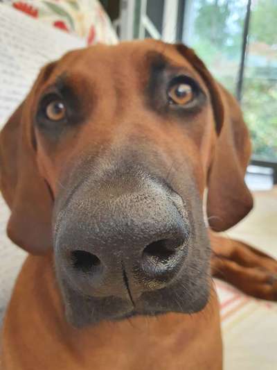 Lieblingsbild :D-Beitrag-Bild