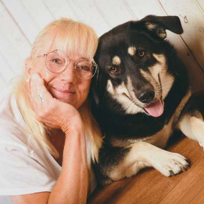 Hundetreffen-Spielgefährten gesucht