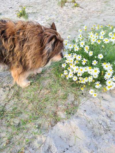 Eure Strandbilder :)-Beitrag-Bild