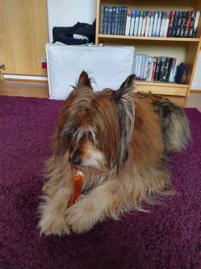 Ernährung-Beitrag-Bild