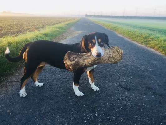 Fotochallenge Nr. 64-Beitrag-Bild