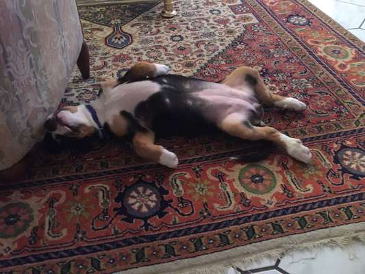 Fotochallenge Nr.65-Beitrag-Bild