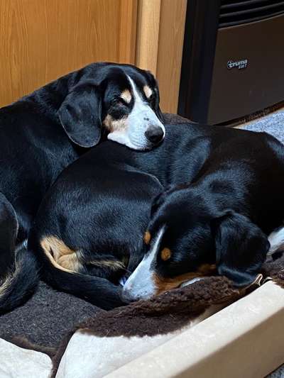 Schlafzeit!💖-Beitrag-Bild