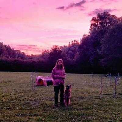 Hundetreffen-Trainingstreffen/Social Walk-Bild