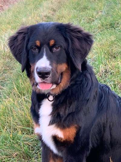 Fotochallange Nr. 57     PORTRÄT.   Beendet!!!!!!!!-Beitrag-Bild