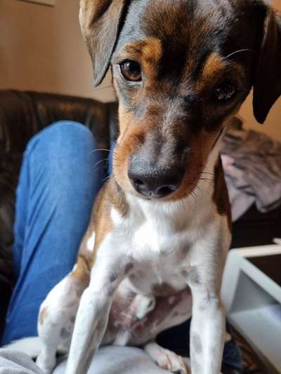 Fotochallange Nr. 57     PORTRÄT.   Beendet!!!!!!!!-Beitrag-Bild