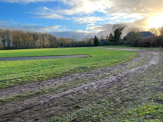 Hundeauslaufgebiet-Alter Sportplatz Jever-Bild