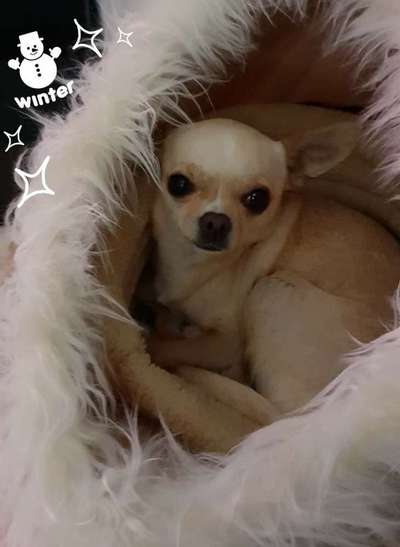 Schlafzeit!💖-Beitrag-Bild