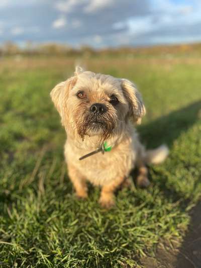 Dogorama Photo Challenge - Portrait-Beitrag-Bild