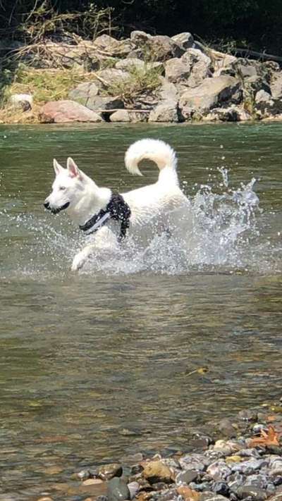 Fotochallenge No. 26                                     Wald und Wiese-Beitrag-Bild