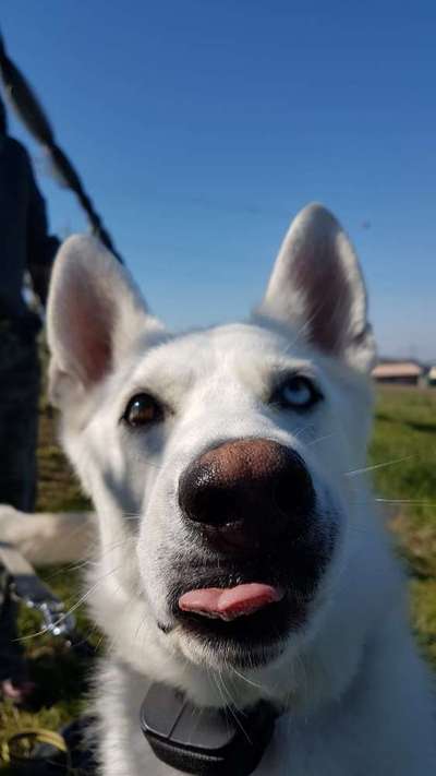 Lieblingsbild :D-Beitrag-Bild