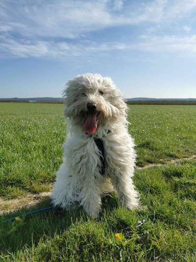 Lieblingsbild :D-Beitrag-Bild