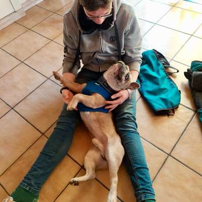 TierschutzhundeStammtisch🐕-Beitrag-Bild