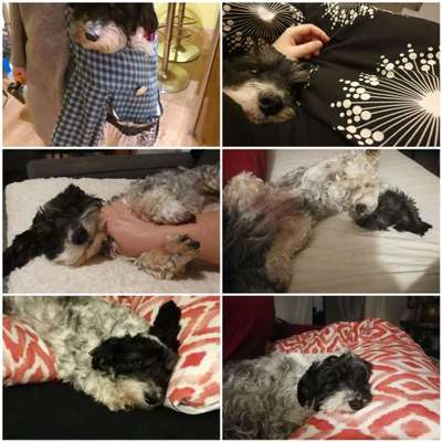 Challenge Nr 14
Eure Fellnasen auf ihrem Lieblingsplatz-Beitrag-Bild