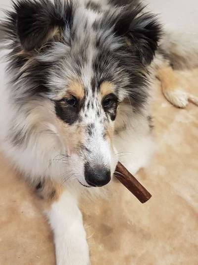 Fotochallange Nr. 57     PORTRÄT.   Beendet!!!!!!!!-Beitrag-Bild