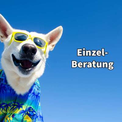 Giftköder-Einzeltraining-Bild