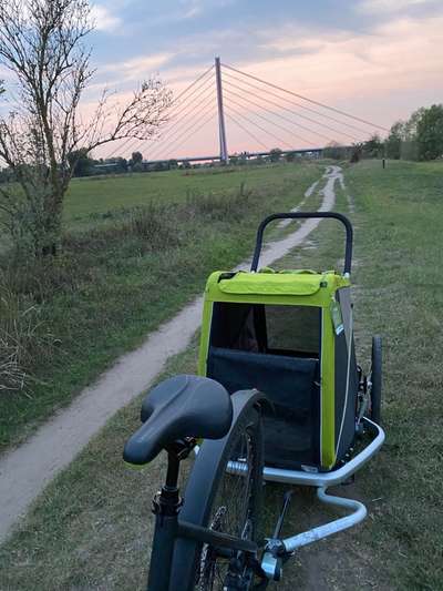 Hundeanhänger für das Fahrrad-Beitrag-Bild