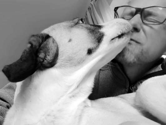 Dogorama Photo Challenge - Selfie Time!-Beitrag-Bild