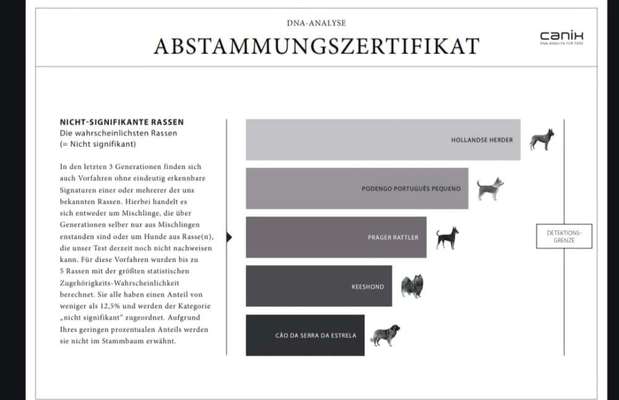 Hat schonmal jemand die Rasse beim Mischling bestimmen lassen?-Beitrag-Bild