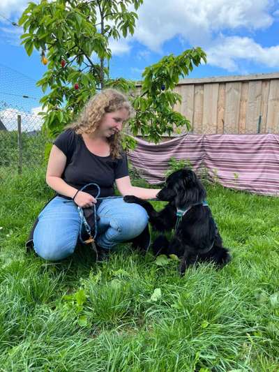 157 Fotochallege- Gib mir Deine Pfote und ich schenke Dir mein Herz-Beitrag-Bild