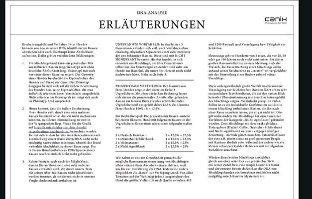 Hat schonmal jemand die Rasse beim Mischling bestimmen lassen?-Beitrag-Bild