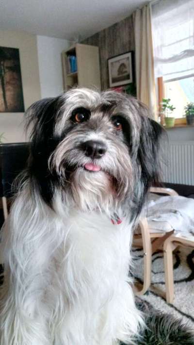 LUSTIGE FOTOS! WER KANN MITHALTEN?-Beitrag-Bild