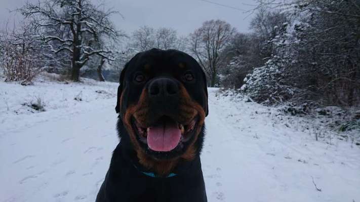 Fotochallenge Nr.122-Beitrag-Bild