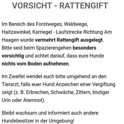 Giftköder-RATTENGIFT-Bild