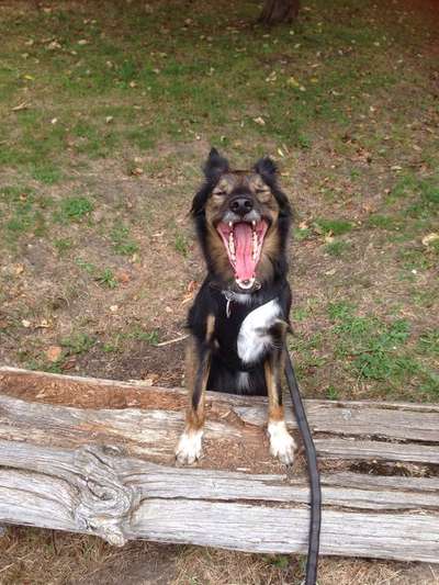 Immer lächeln !-Beitrag-Bild