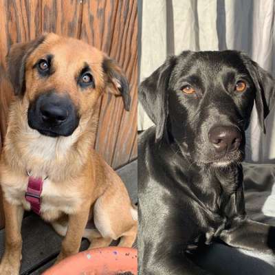 Lieblings Fotos-Beitrag-Bild