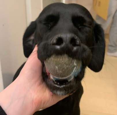 Lustige Grimassen & verrückte Posen-Beitrag-Bild