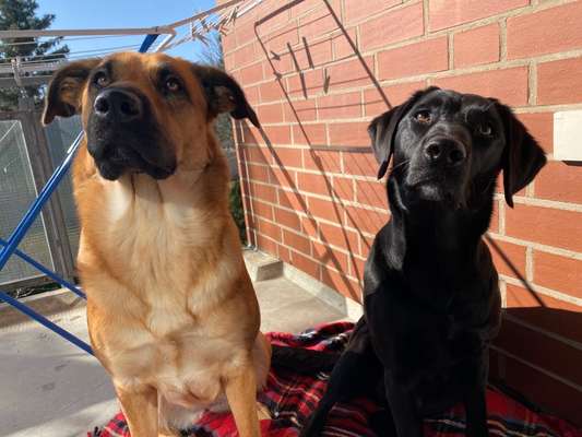 Lieblingsbild-Beitrag-Bild