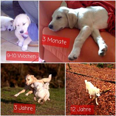 Vorher.... Nachher-Beitrag-Bild