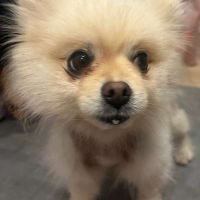 Freddys Kummerkasten-Beitrag-Bild