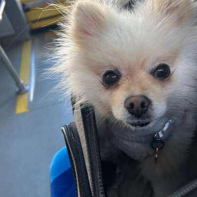 Freddys Kummerkasten-Beitrag-Bild