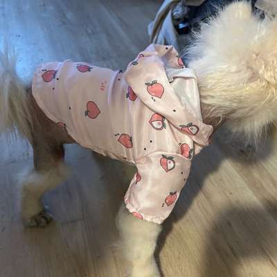 Freddys Kummerkasten-Beitrag-Bild