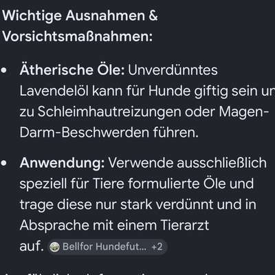 Mücken-Beitrag-Bild