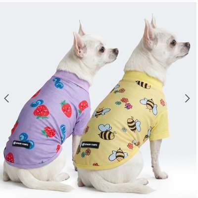 Sonnencreme für Hunde-Beitrag-Bild