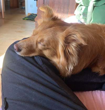 Allheilmittel Deckentraining-Beitrag-Bild